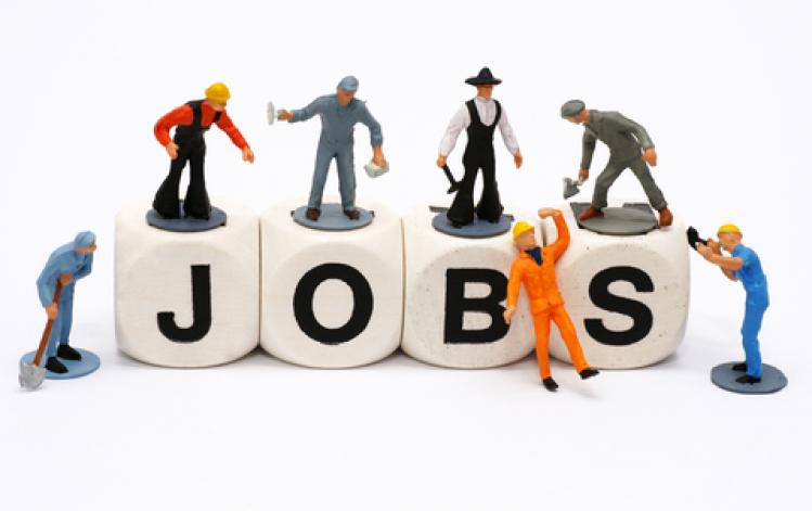 placement services in Noida Delhi